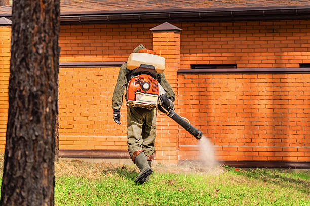 Trusted Cockroach Control service in Slippery Rock, PA - Nex Pest Control